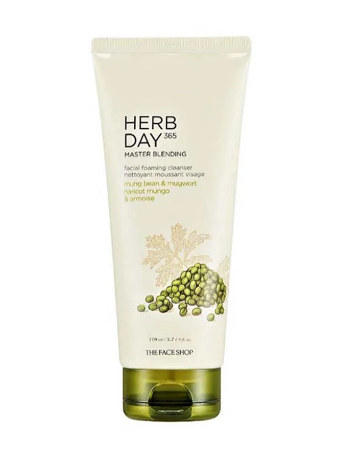 THE FACE SHOP Herb Day 365 Master Blending Foaming Cleanser Mung Bean&Mugw